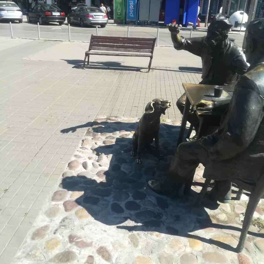 Suvi Centar Lägenhet Ni Exteriör bild